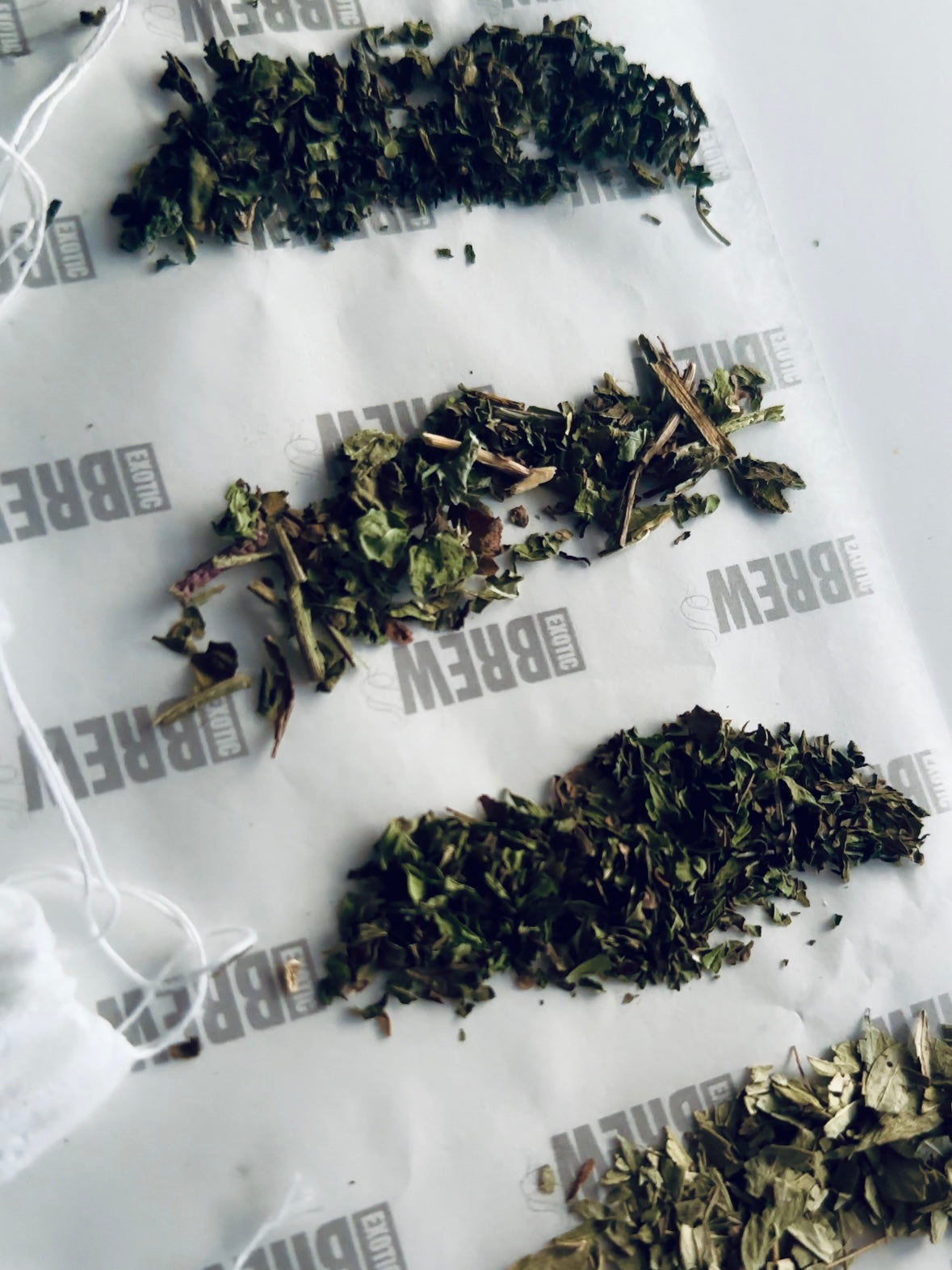 The Discovery Collection