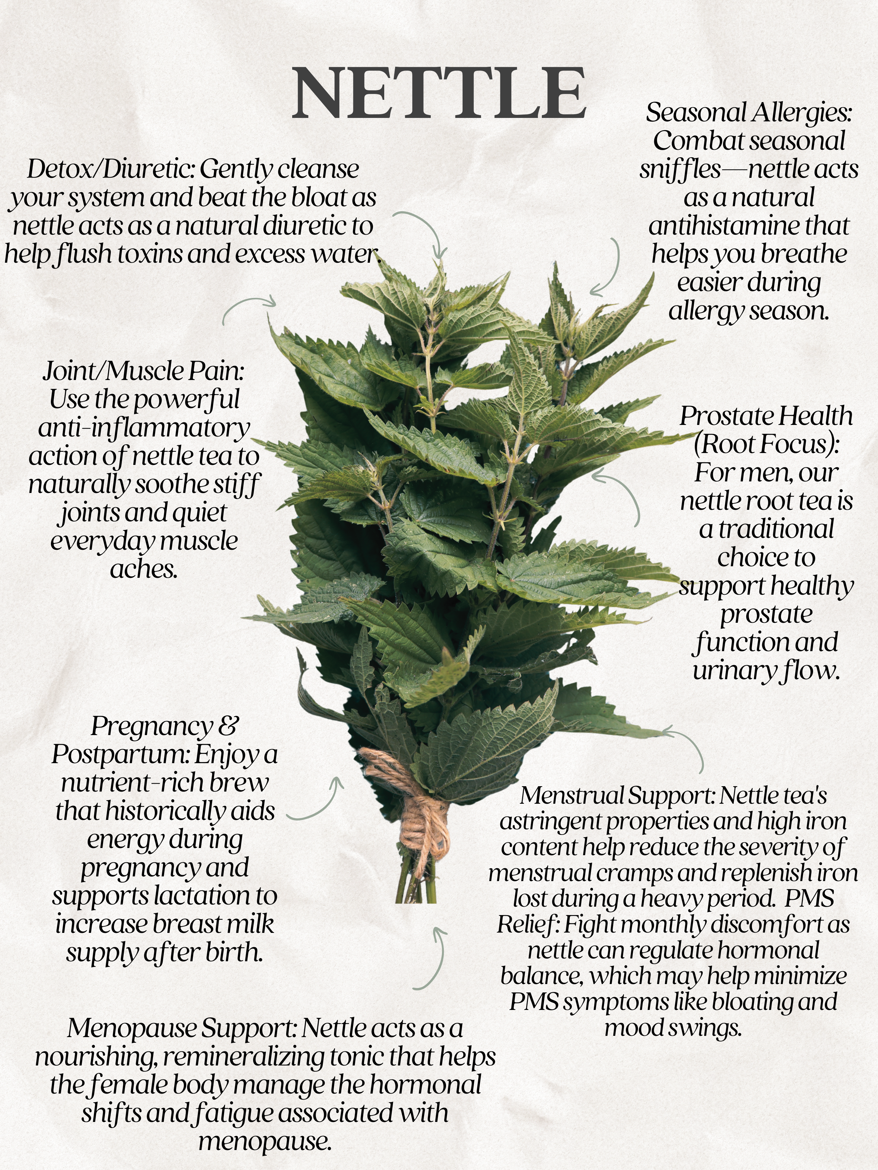 Nettle Tea